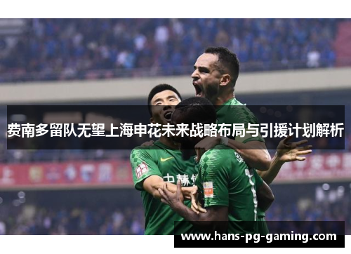 费南多留队无望上海申花未来战略布局与引援计划解析