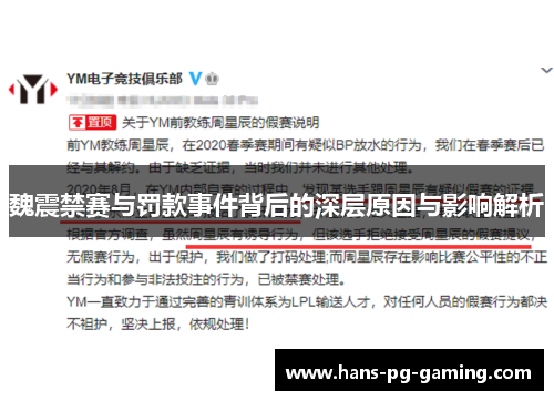 魏震禁赛与罚款事件背后的深层原因与影响解析